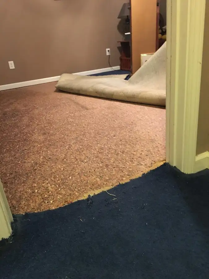 Carpet pad removal revealing water damage during Water Mitigation Services in San Rafael
