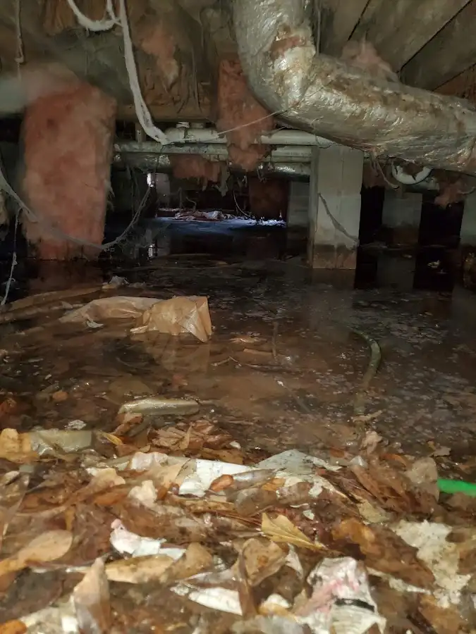 Crawl space flood assessment for Leak Detection & Repair in San Rafael