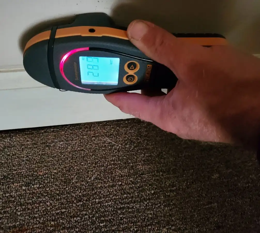 Moisture detection at baseboard during Mold Inspection & Testing in San Rafael